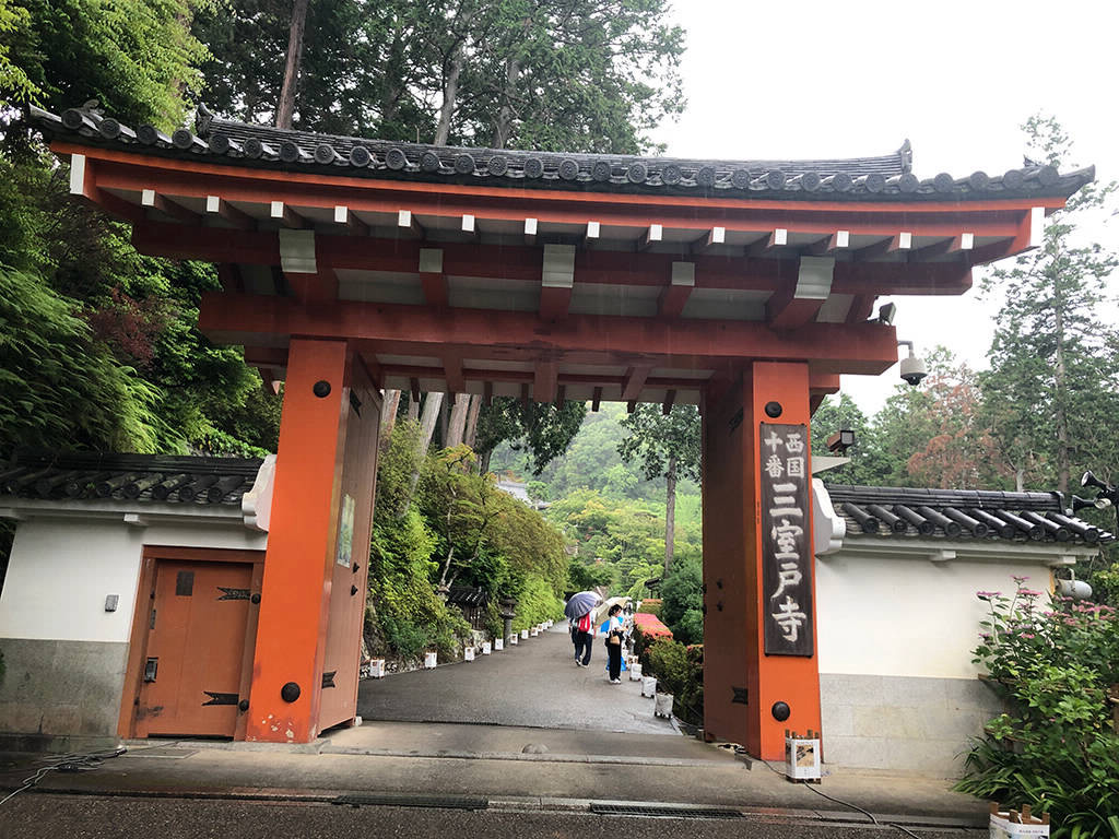 Hydrangea in Mimurotoji Temple, Kyoto, early June